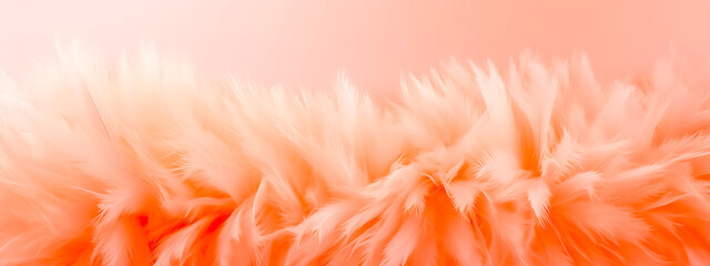 bird feather structure in detail, banner in peach color 2024, banner