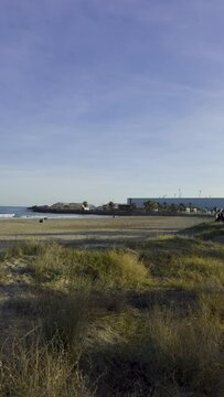 Vacationers on the beach of Spain among palm trees. Cyclists ride along the beach along the sea. Surfers on the waves in December. Grao, Castellon on the coast of Spain.