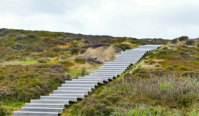 Treppe durch Dünenlandschaft Sylt Dünentreppe