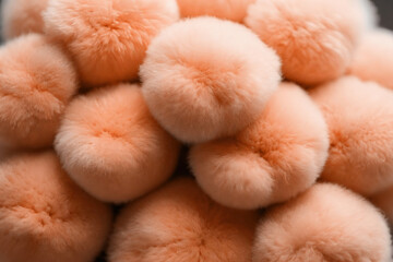 Small balls of wool, the color of peach fuzz. - obrazy, fototapety, plakaty