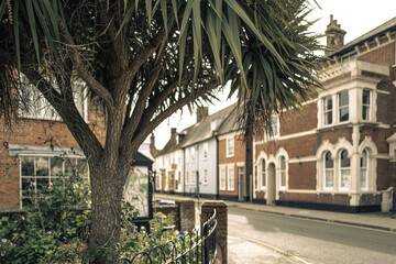 Fototapeta na wymiar Shallow focus of a palm tree located on an empty street corner in the town of Southwold, Suffolk, UK. Wrought iron railings can be seen sectioning off the yucca tree.