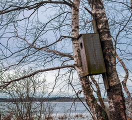 Nest box to facilitate the nesting of ducks on the flooded shore of forest lake.