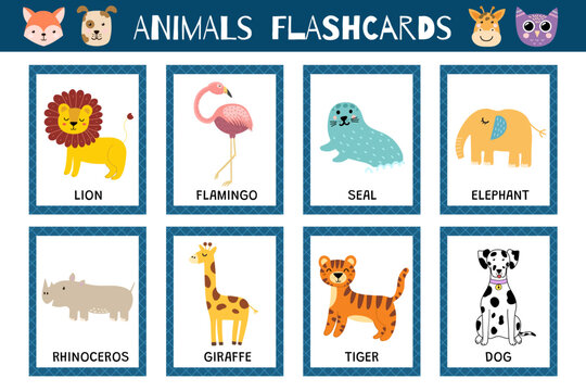Animals flashcards collection for kids. Flash cards set with cute characters for practicing reading skills. Lion, flamingo, elephant and more. Vector illustration