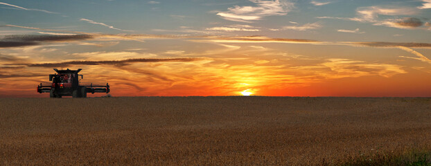 sunset panorama of harvester ready to gather the soy beans