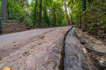 Walking through the Alhambra forest (Granada, Spain) in autumn