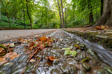 Walking through the Alhambra forest (Granada, Spain) in autumn