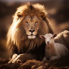 Zelfklevend Fotobehang Lion and Lamb together © Christian
