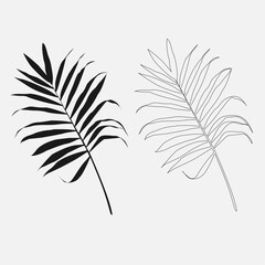 fern, palm tree, fern vector, palmra vector, fern illustration, fern icon, palmra illustration, illustration vector, plants vector, plants icon, plants resource, overlay, png