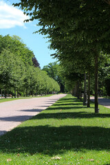 public park - central alley - Orangerie - Strasbourg
