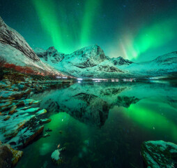 Northern lights over the snowy mountains, frozen sea, reflection in water at winter night in Lofoten, Norway. Aurora borealis and snowy rocks. Landscape with polar lights, stones, starry sky and fjord