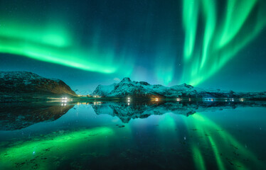 Aurora borealis, snowy mountains, sea, fjord, reflection in water, street lights at starry winter...