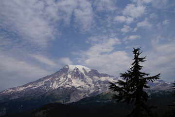  Mt. Rainier, with conifer forest