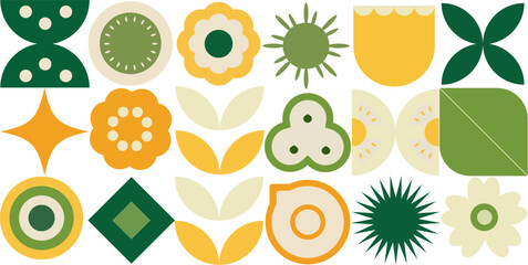 Geometric natural pattern. Abstract simple shape fruit plant leaves, minimal botanical eco farming concept. Vector banner EPS 10 Bauhaus