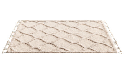 Modern rug with long pile and braids. 3d render