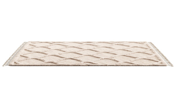 Modern rug with long pile and braids. 3d render