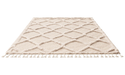 Modern rug with long pile and braids. 3d render