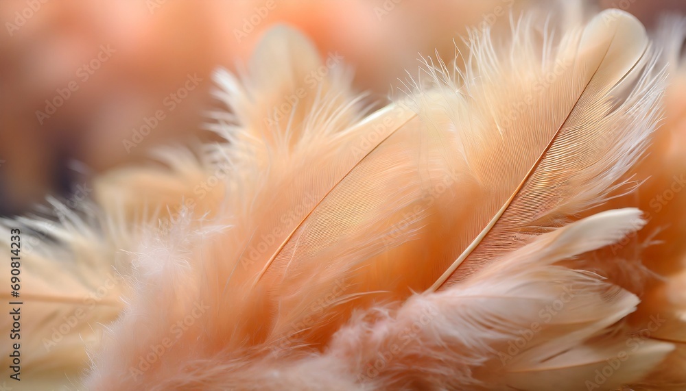 Poster peach fuzz color feathers, background with selective focus and copy space