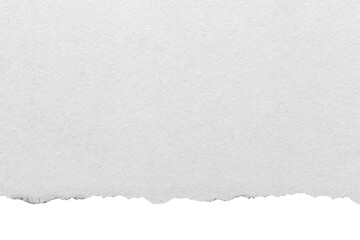 Torn and ripped piece of horizontal blank paper on transparent background PNG