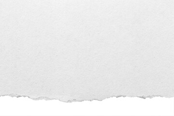 Torn and ripped piece of horizontal blank paper on transparent background PNG