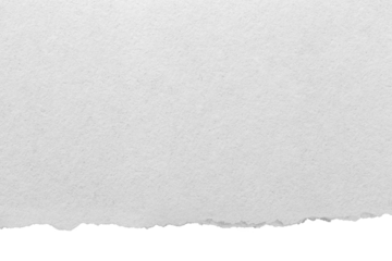 Ripped paper effect and torn on transparent background PNG