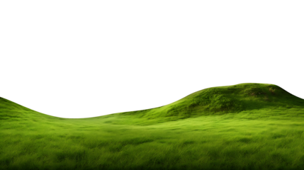 Grass field landscape cutout background