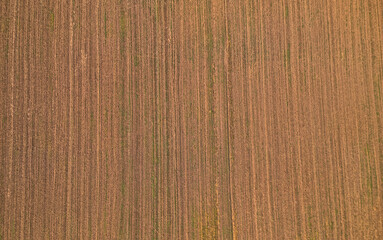 Aerial shot of endless fields in Slavonia, Croatia