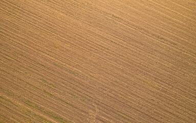 Aerial shot of endless fields in Slavonia, Croatia