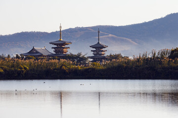 奈良、秋の大池から見た薬師寺、若草山方向の風景