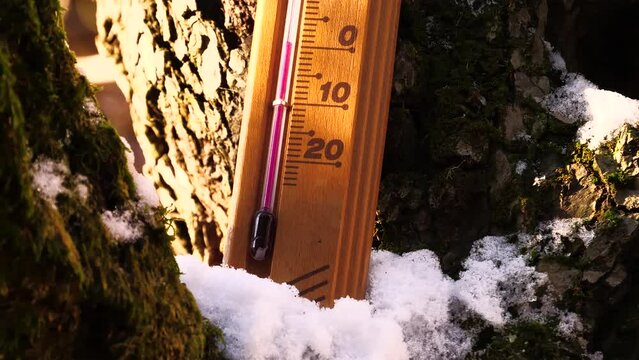 A meteorology thermometer shows 0 degrees Celsius, a low cold temperature amidst December Christmas celebration and cool snowy winter weather season, placed on the white snow on a brown tree.