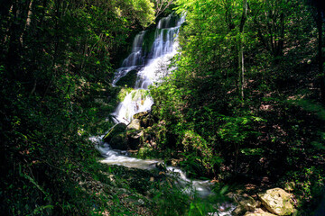 美しい新緑に囲まれた滝｜太戸の滝