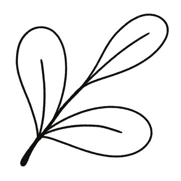 recommend clip art: Leaf 