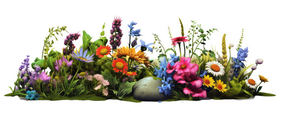 Flower clusters, with flowers and grass, are exquisitely matched with various plants isolated on transparent background