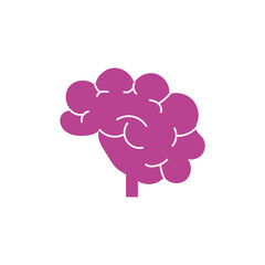 Draw a brain in a simple style