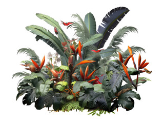tropical plants isolated on transparent background