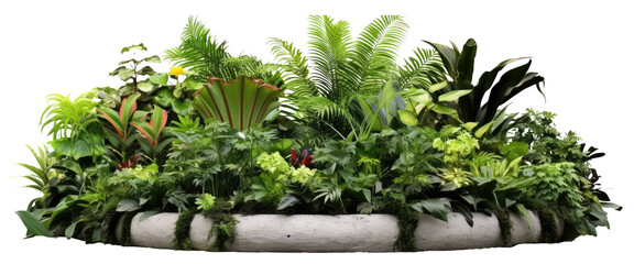garden with stone edging trim and lush tropical plants isolated on transparent background