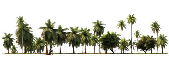 bunch of tropical trees forest in a line, the tree are various ,watercolor ,flower, decoration, flowers, floral,tree, plant,garden, leaf,leaves,wild,wildflowers,border,frame,  nature, spring, blossom,