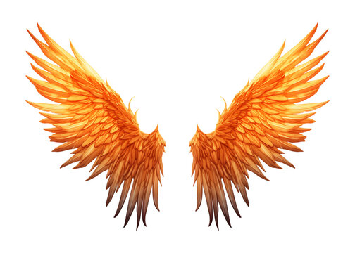Phoenix Wings Isolated on Transparent Background

