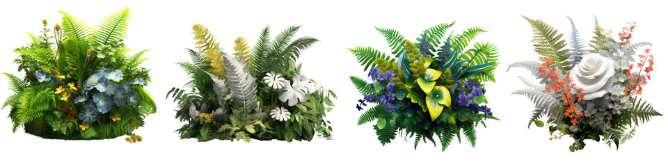 ferns and flowers isolated on transparent background - obrazy, fototapety, plakaty