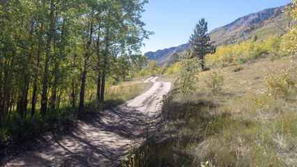 Fall view of four wheel drive road [Medano Pass primitive road] through the Sangre De Cristo range of the Rocky Mountains in Colorado United States