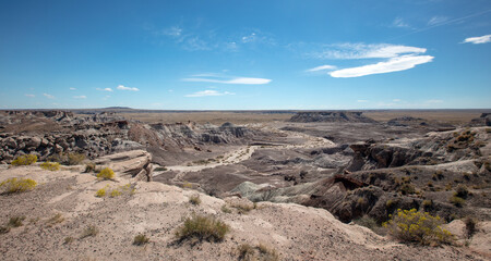 Winding dry desert wash in the Petrified Forest National Park in Arizona United States