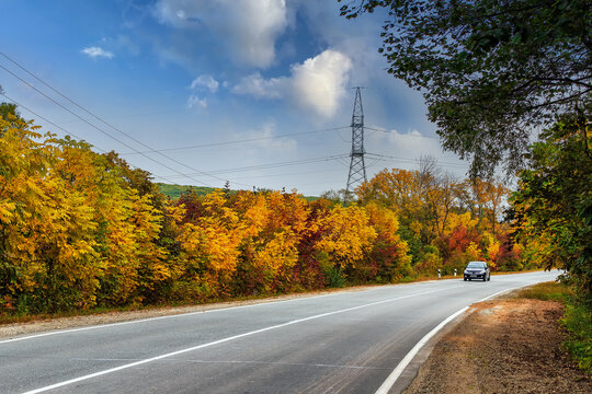 A highway along a beautiful forest