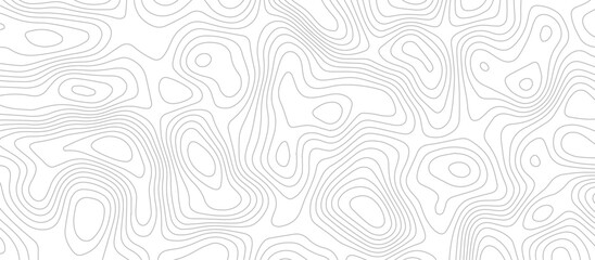 abstract White wave paper curved reliefs background .Panorama view gradient multicolor wave curve lines banner background design. Vector illustration. wave Line topography map contour background.