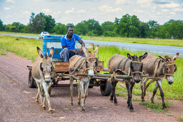african man with donkey cart carry in drums selling water to sell in the village