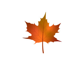 autumn maple leaf, happy fall autumn festival