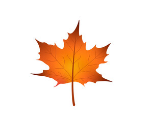Happy Fall Autumn Festival