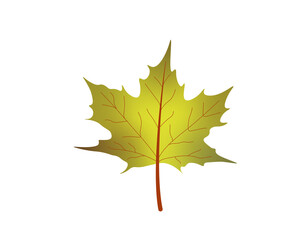 Happy Fall Autumn Festival