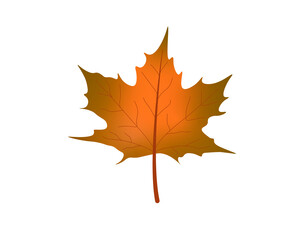 Happy Fall Autumn Festival