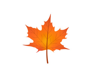 Happy Fall Autumn Festival