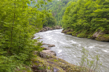 Naklejka na ściany i meble A full-flowing river, a mountainous area, a cloudy day, summer walks in the bosom of nature, a panorama of the area.