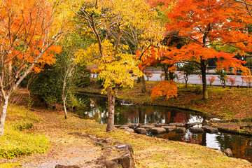 偕楽園　紅葉ロード